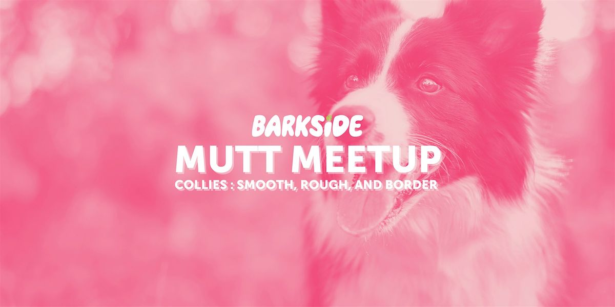 Mutt Meetup: Calling all Collies!