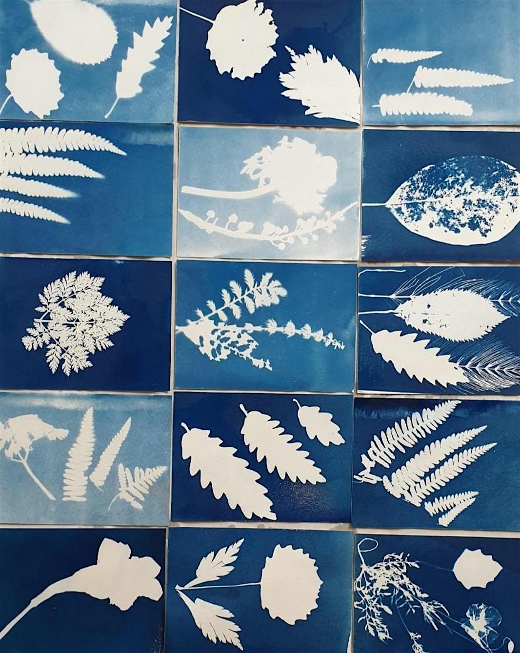 Cyanotype Printing