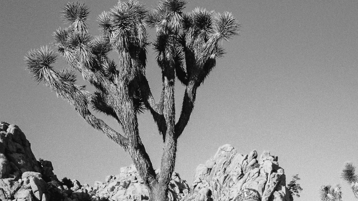 Spencer Crandall in Bend