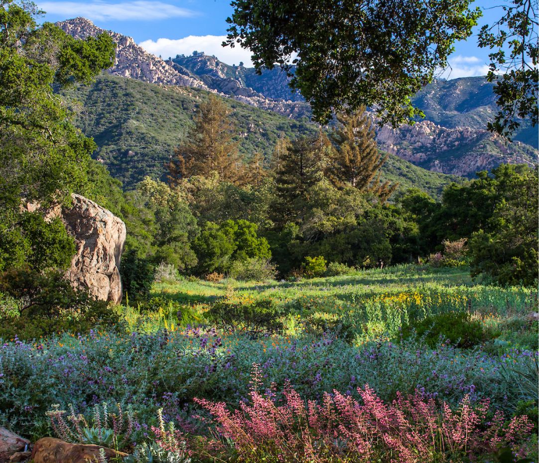 Gadan at The Katharine Hepburn Cultural Arts Center