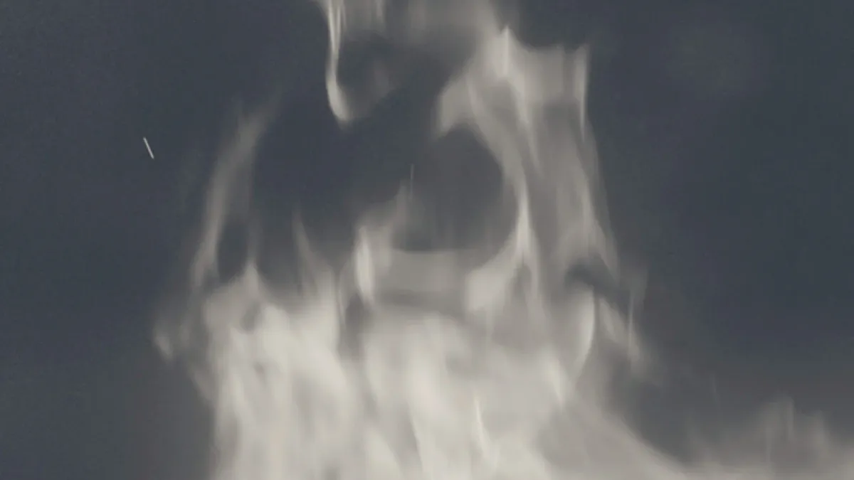 Actress, Jameszoo in Amsterdam