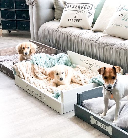 workshop dog furniture