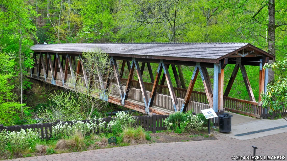 Vickery Creek- Sunday Walk