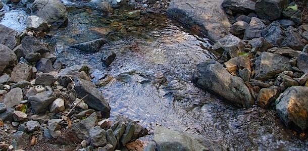 Accessible Adventures: Quiet Sounds of Natural History