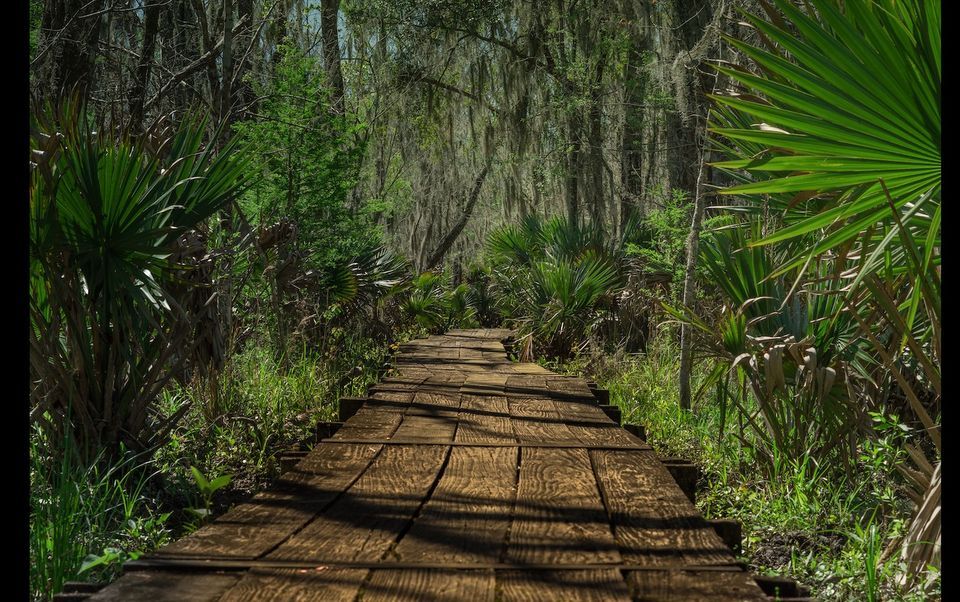 Constellations familiales Journée à Paris 173 Rue de Charenton