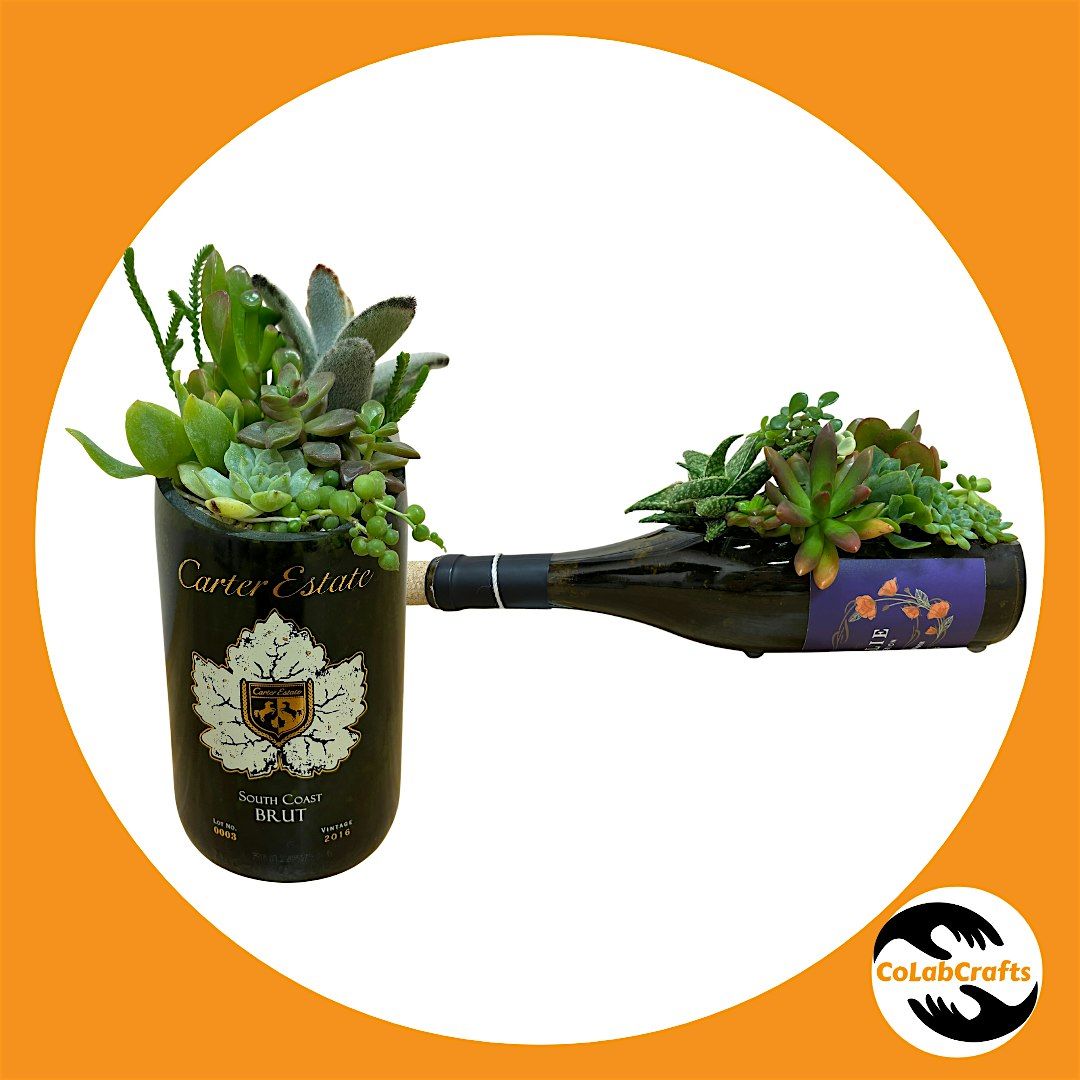 Succulent Arrangement on a Wine Bottle Workshop