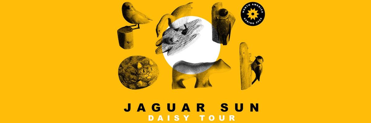 Jaguar Sun