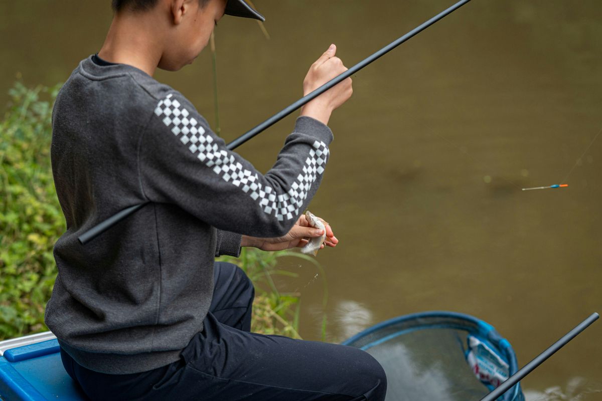 Free Let's Fish-Wombourne-Staffs  & Worcester Canal-28\/05\/2026