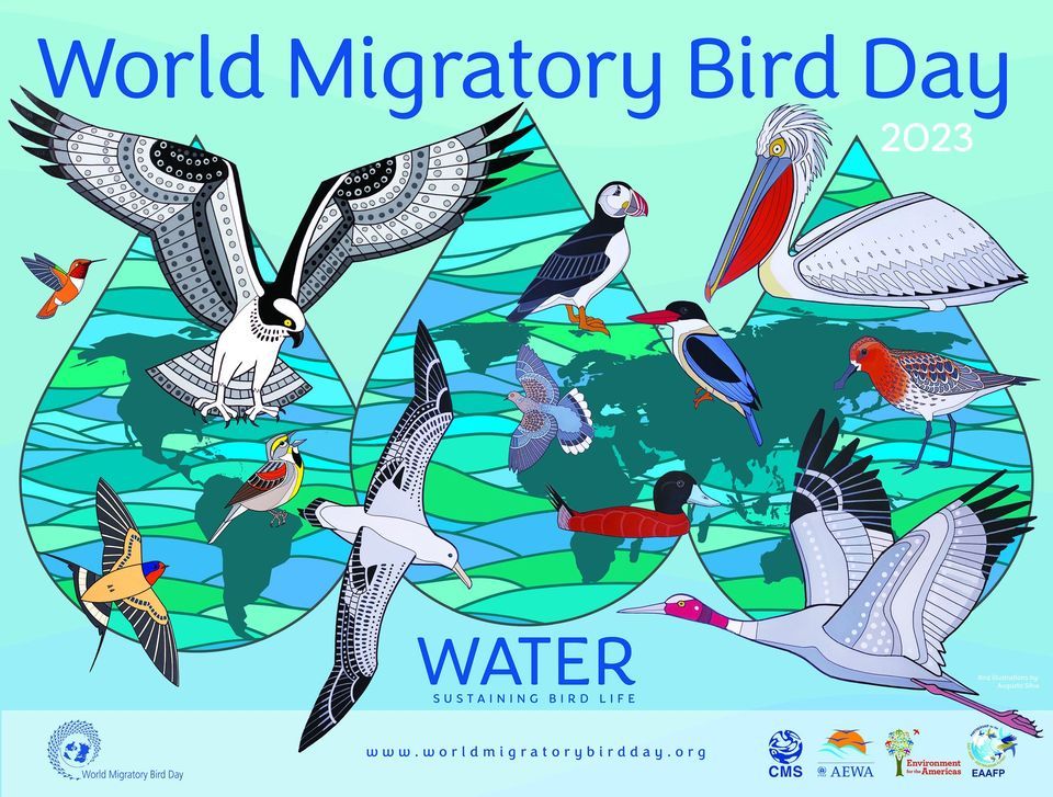 2023 World Migratory Bird Day at Lois Hole Provincial Park