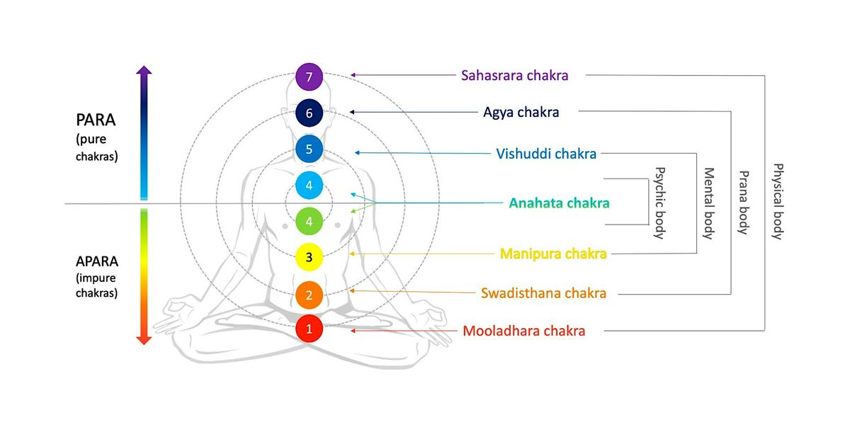 Meditation Secrets of Chakras and Kundalini Unlocking Inner Power at ...