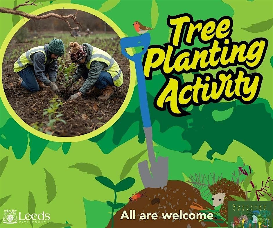 Tree planting Western Flatts