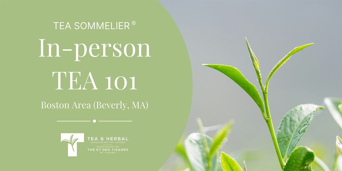 Condor Tea 101 TEA 101 In-person class (Boston Area) at Camp Paradise, Beverly on 30th ...