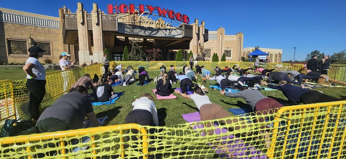 Yoga with Puppies
