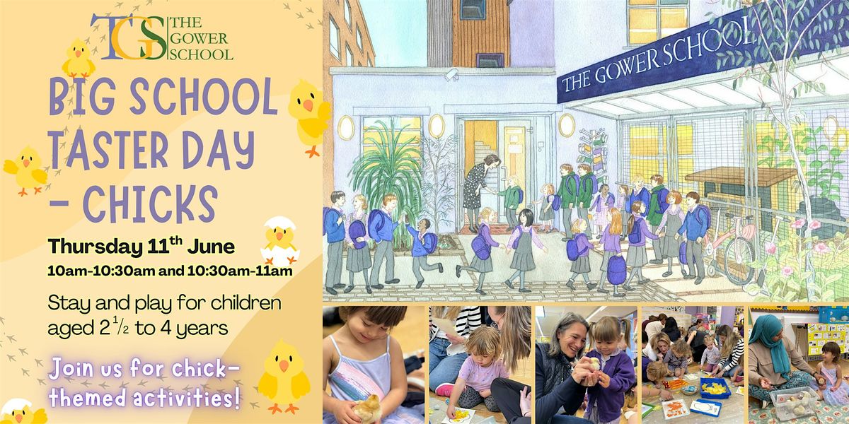 Big School Taster Day - Chicks
