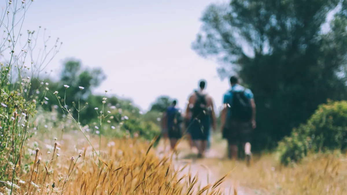 Speed Friending Walk