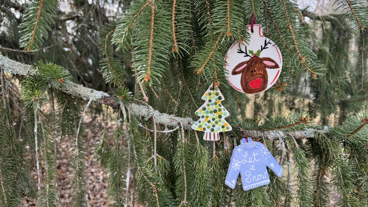 Pottery with  P\u00e5r\u00e5disu - Swamp Rabbit Brewery Ornament Painting