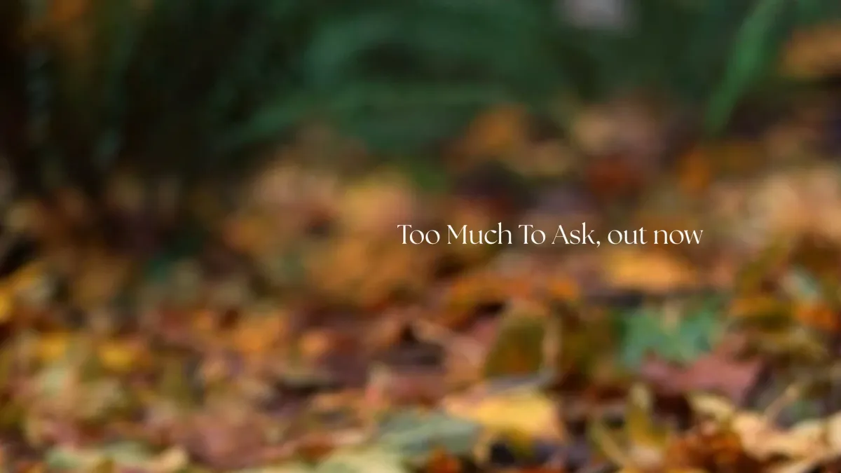 gavn!, Elektric Animals in Colorado Springs