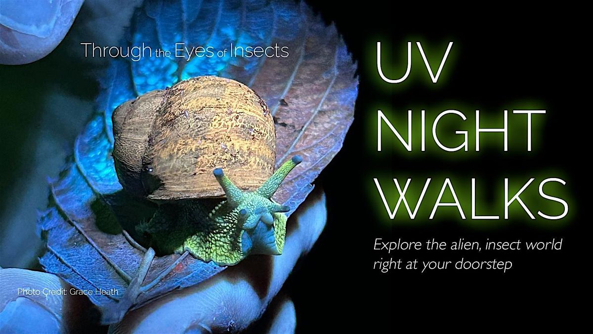 Milton UV Night Walk