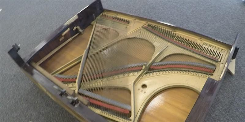 Sound and Conservation