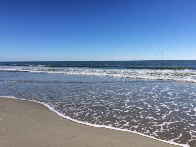 Tokyo 101 Japanese Restaurant