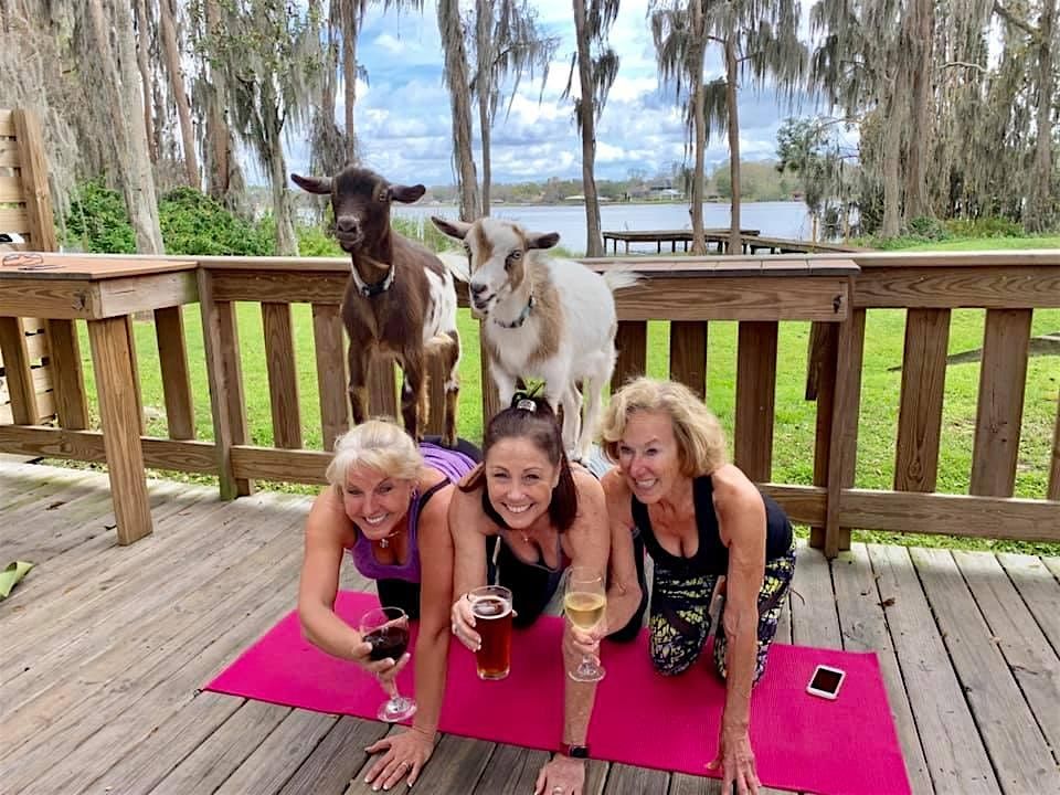 Goat Yoga Tampa lakeside @ In the Loop Brewing in Land O Lakes; 1\/25\/26
