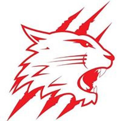 Swindon Wildcats