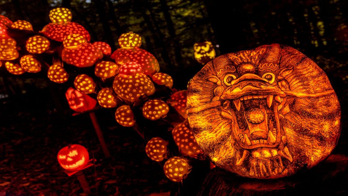 Jack O'Lantern Spectacular - Louisville