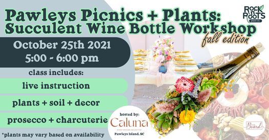 Pawleys Picnics + Plants: Succulent Wine Bottle Workshop (Fall Edition) at Caluna