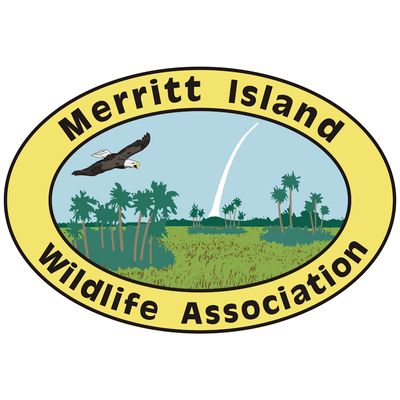 Merritt Island Wildlife Association