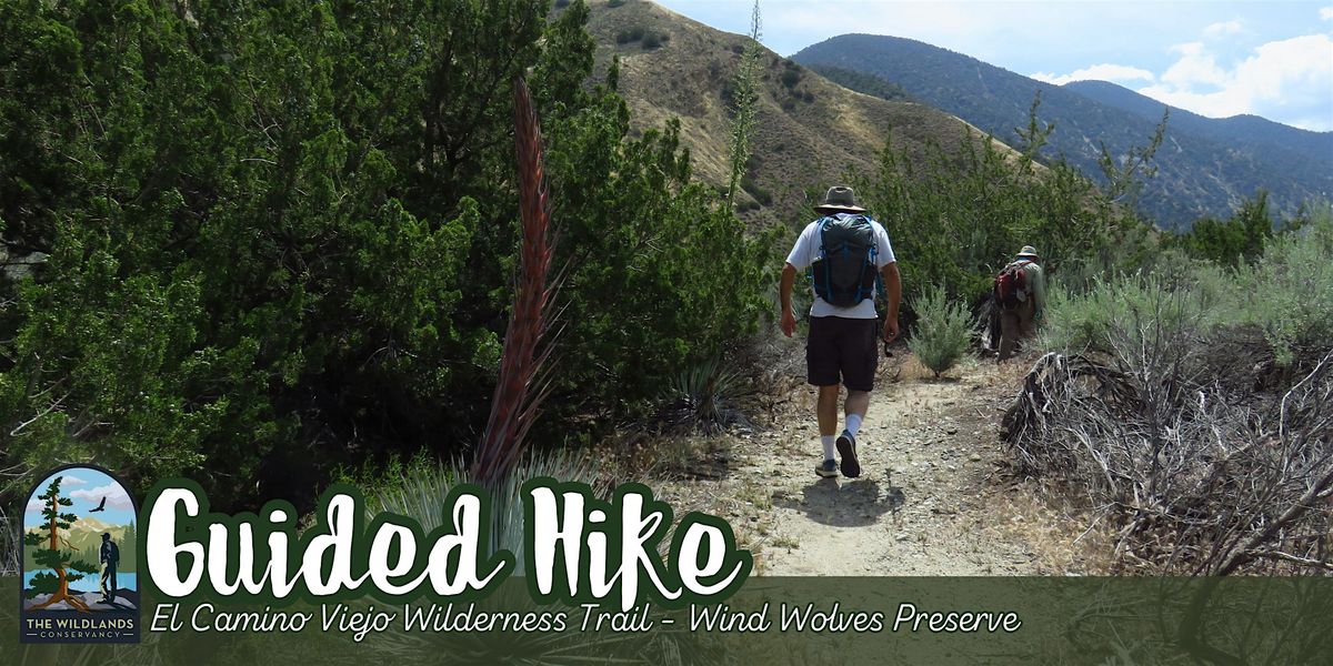 Backcountry Challenge: Wilderness Trail - Wind Wolves Preserve