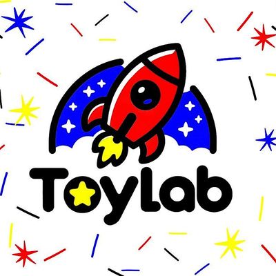 ToyLab Experience