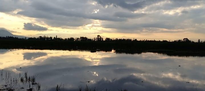 Campamento de luna llena en las chinampas de Xochimilco at Embarcadero