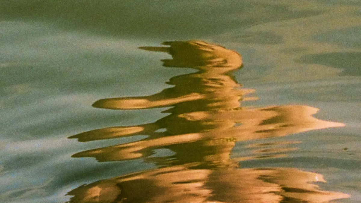 Damien Dempsey in Wicklow