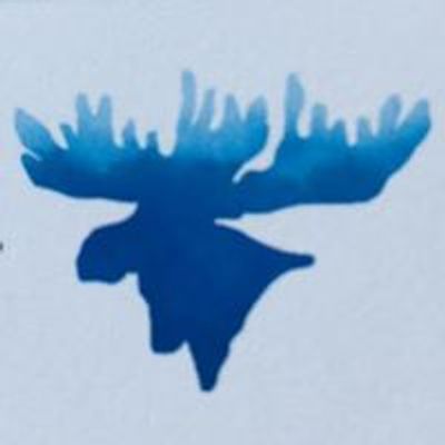 Blue Moose Art Gallery