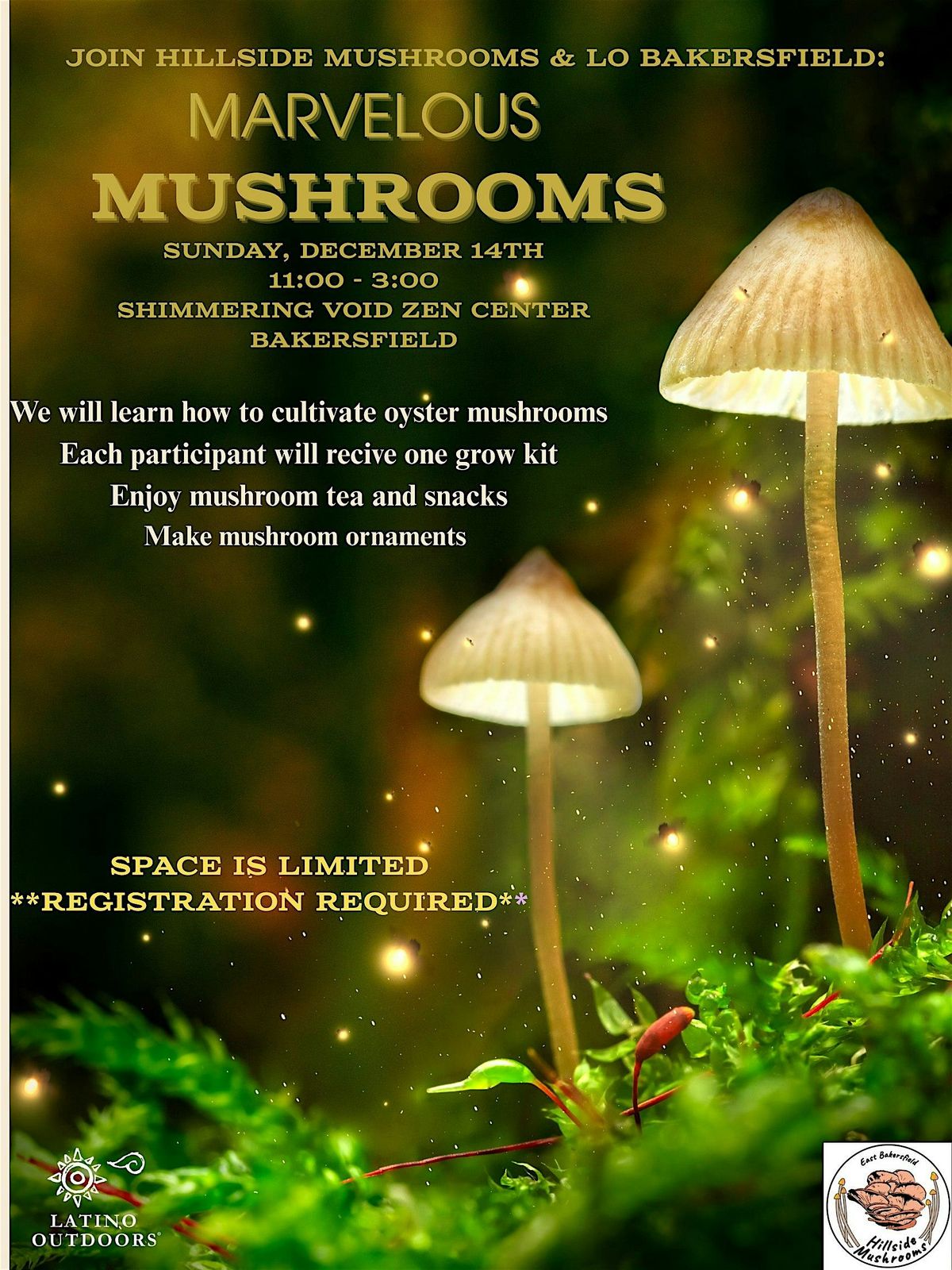 LO Bakersfield | Marvelous Mushrooms