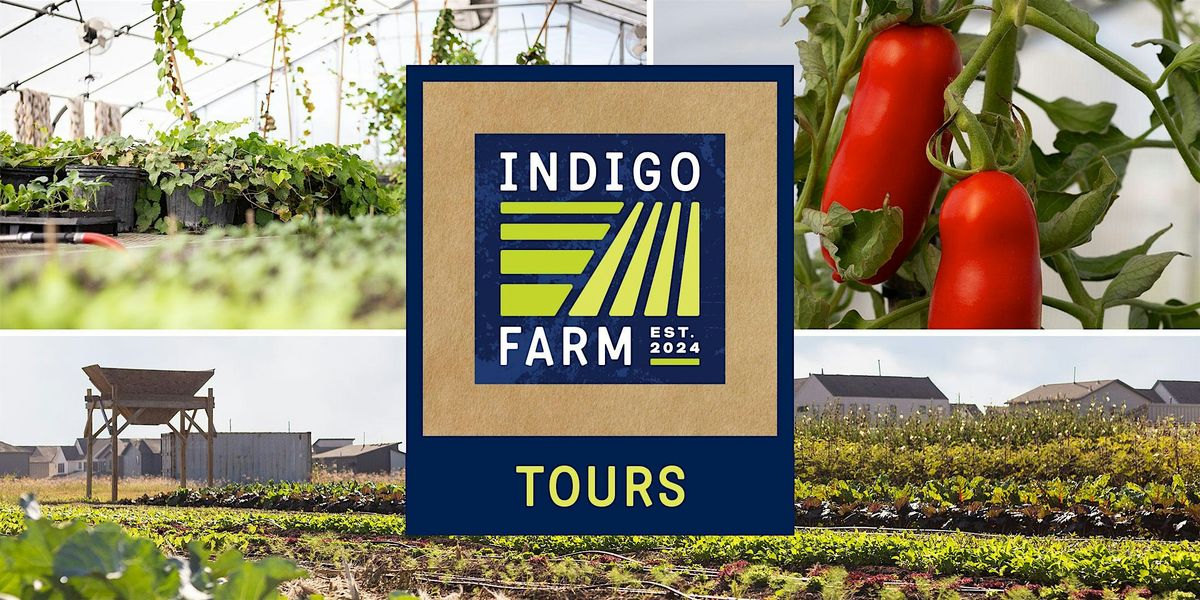 Full Bellied Farm Tours at Indigo
