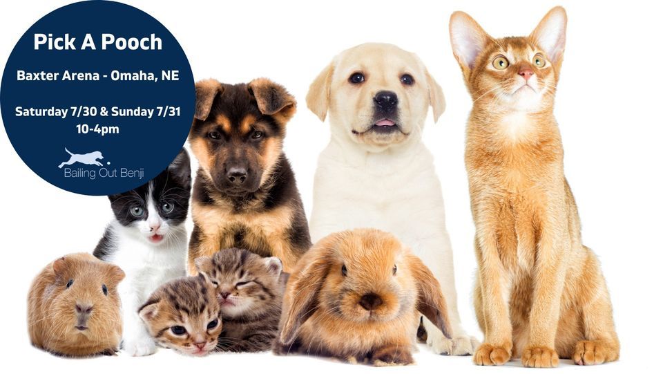 Pick A Pooch Adoption Days & Pet Expo Baxter Arena, Omaha, NE July