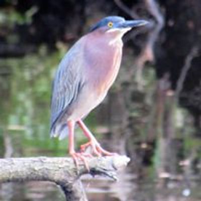 West Volusia Audubon