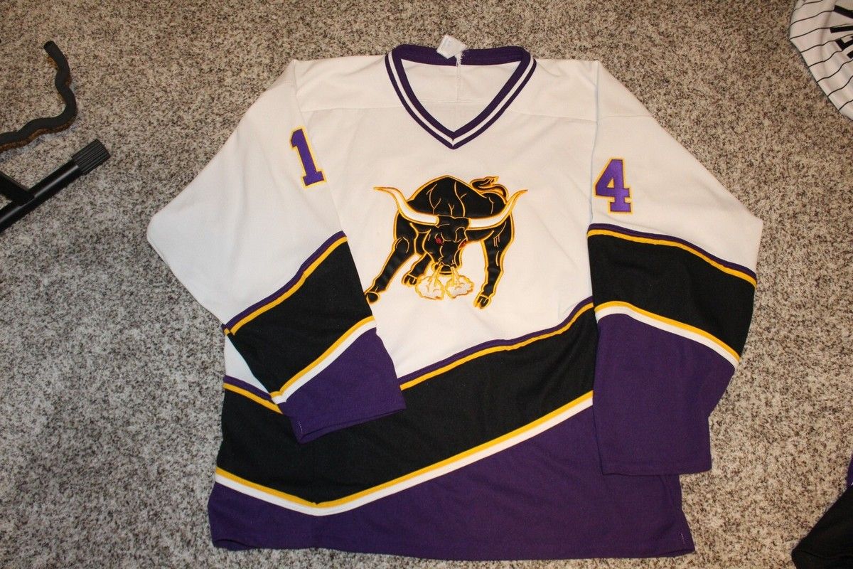 Minnesota State Mankato Mavericks at Wisconsin Badgers Mens Hockey