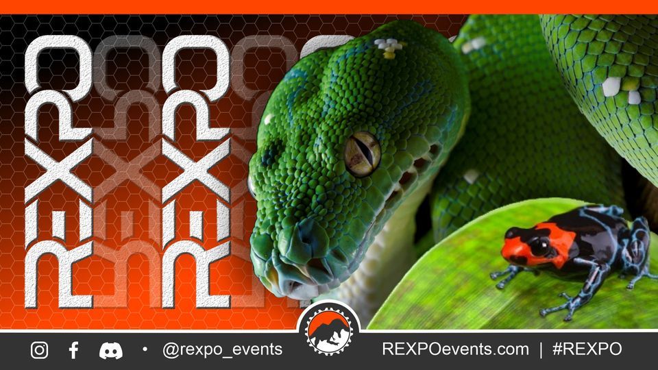 REXPO "Spring 2022" Main Street Armory, Rochester, NY April 2, 2022