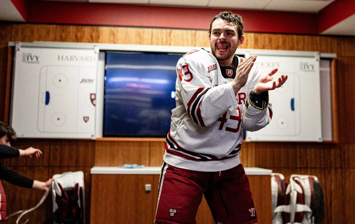 Stonehill Skyhawks at Harvard Crimson Mens Hockey