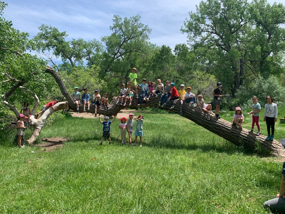 Spring Break Camp at Dinosaur Ridge!