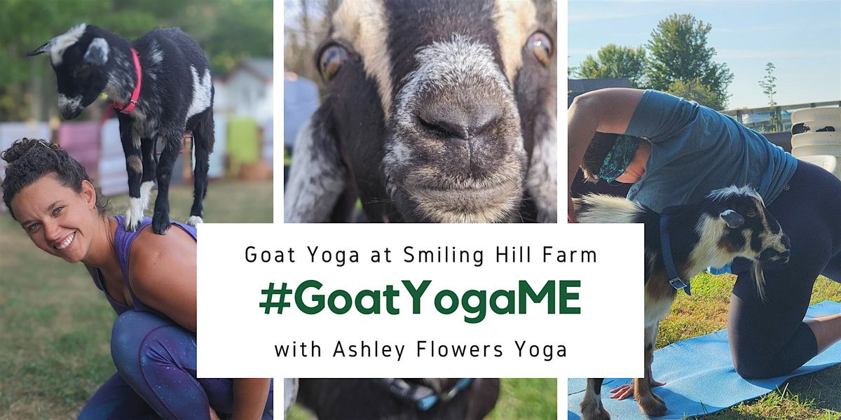 Goat Yoga - 2026