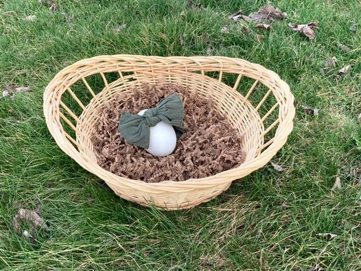 The Byrds Nest Animal Swap | 628 Indian Creek Valley Rd, Indian Head The Byrds Nest Animal Swap | 628 Indian Creek Valley Rd, Indian Head