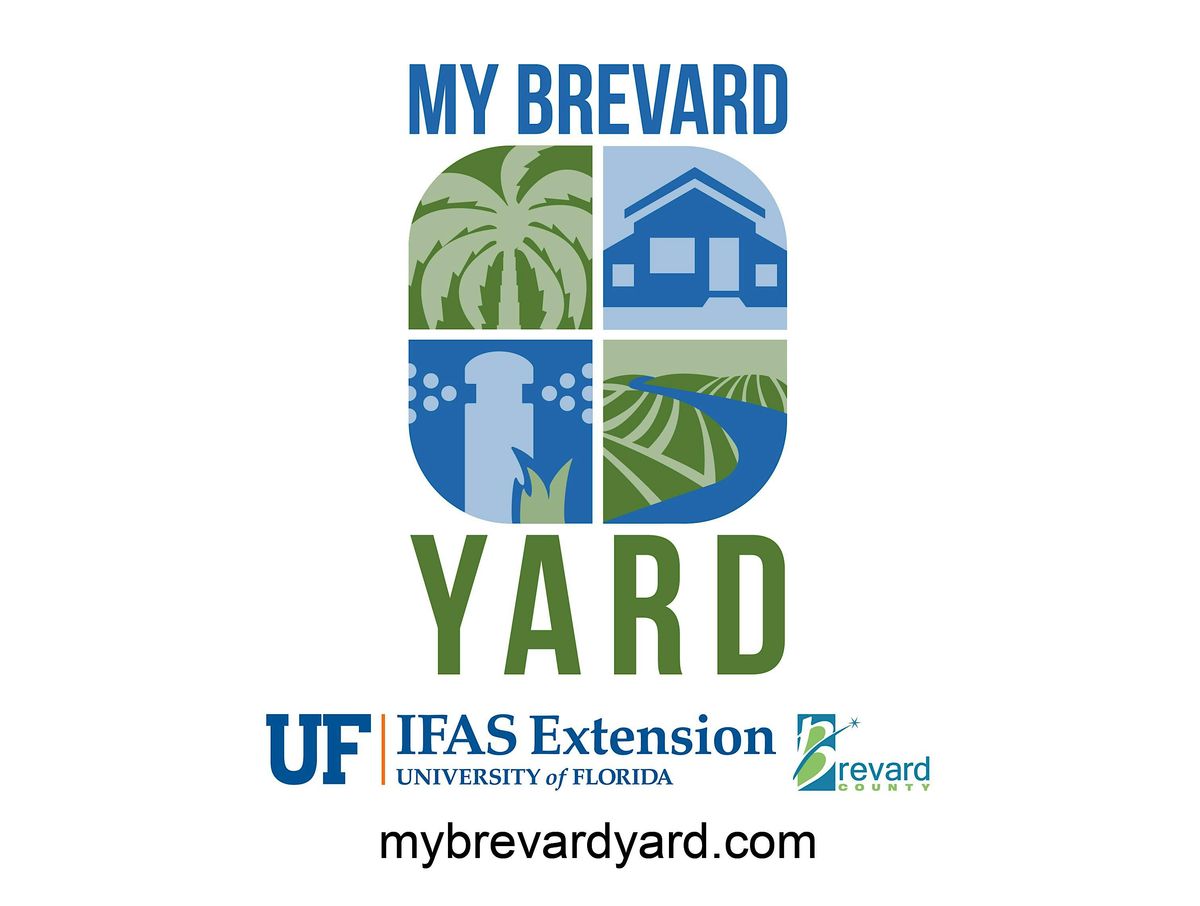 My Brevard Yard Site Visits Nov.-Dec. 2025