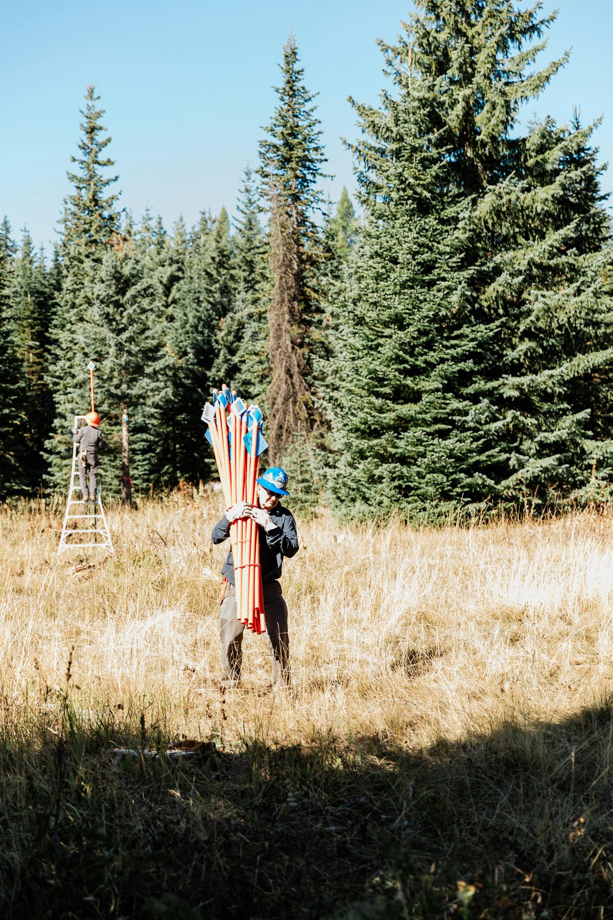National Public Lands Day at Horseshoe Prairie Work Party