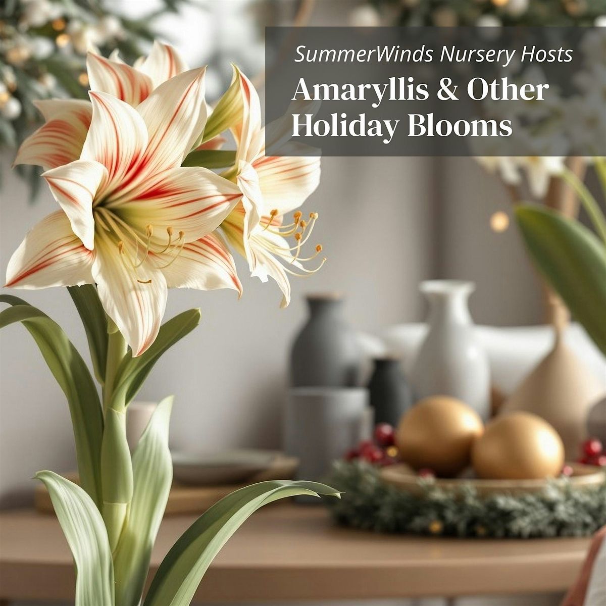 Amaryllis & Other Holiday Blooms Tips for Growing & Styling - Campbell