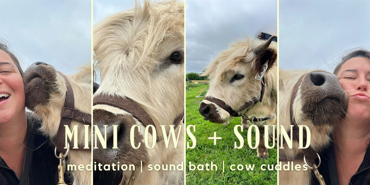 Cuddling Cows + Sound Bath