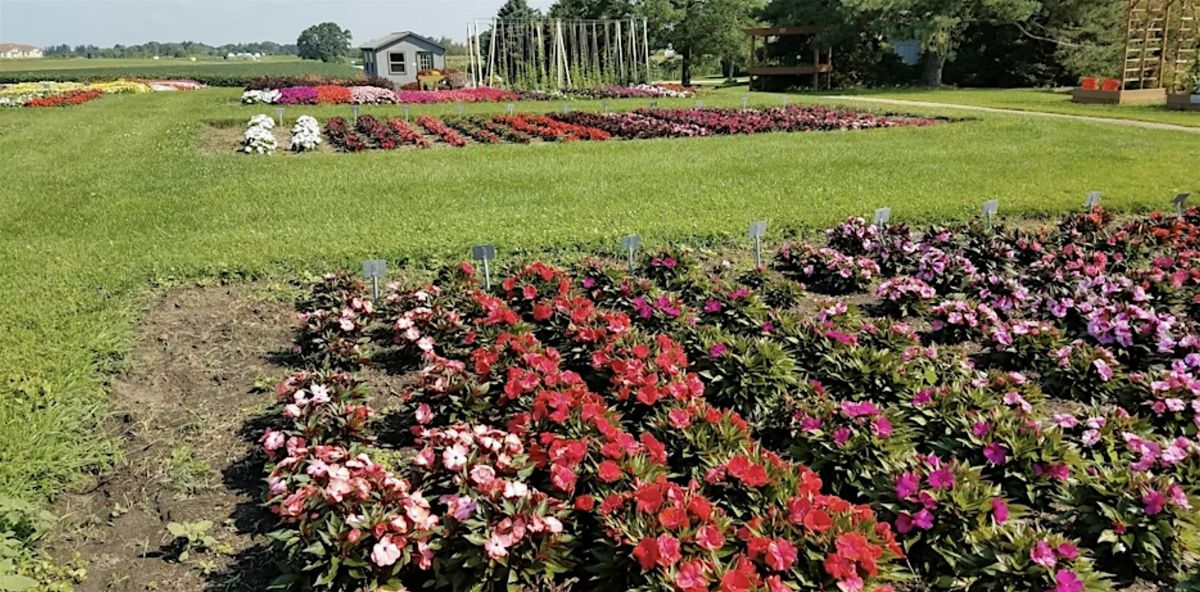 Annual and Perennial Plant Trials at West Madison Ag Research Station