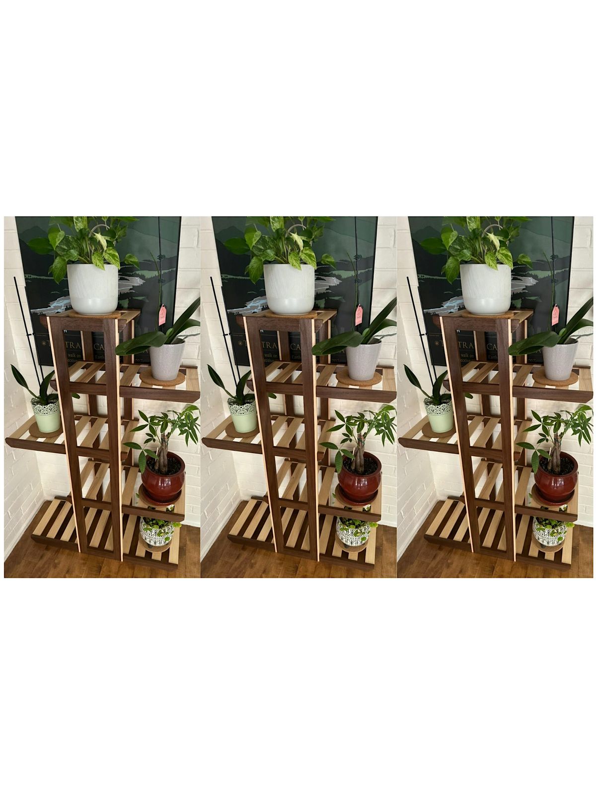 Build Your Own Plant Stand